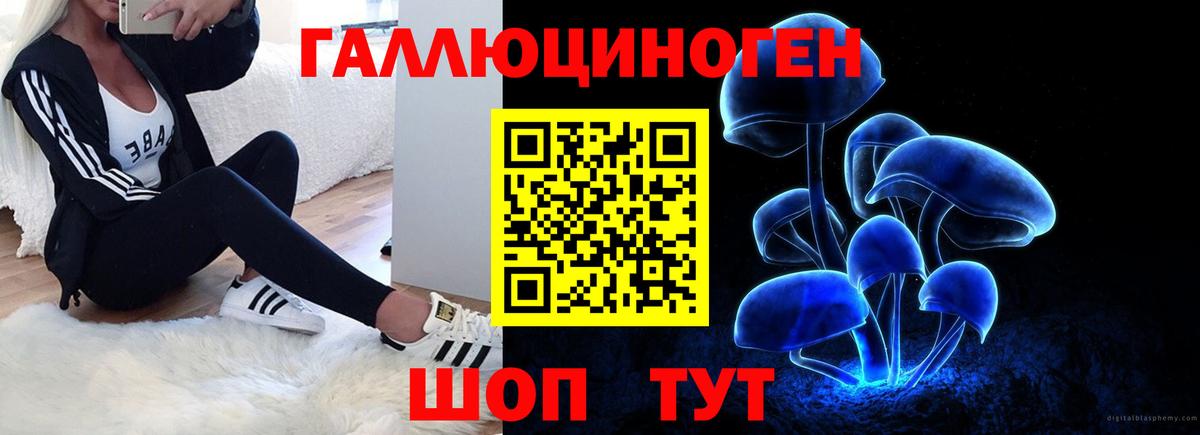 купить закладку  Вход с VPN  Пугачёв  Галлюциногенные грибы Psilocybe 